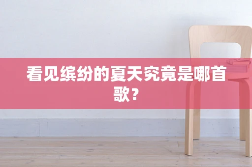 看见缤纷的夏天究竟是哪首歌？