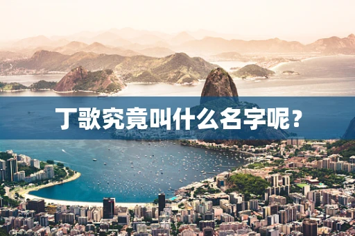 丁歌究竟叫什么名字呢？