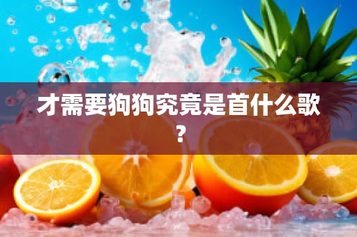 才需要狗狗究竟是首什么歌？