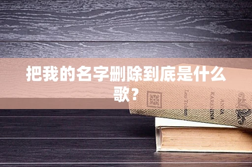 把我的名字删除到底是什么歌？