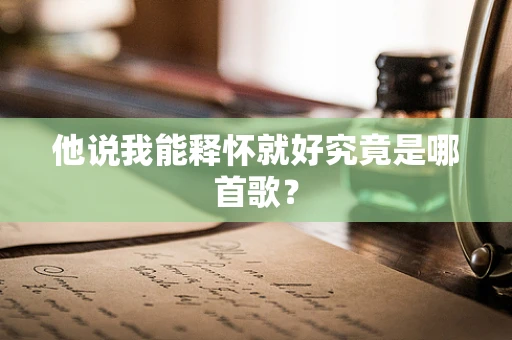 他说我能释怀就好究竟是哪首歌？