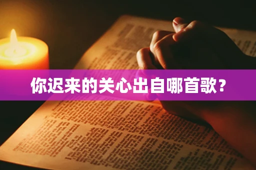 你迟来的关心出自哪首歌？