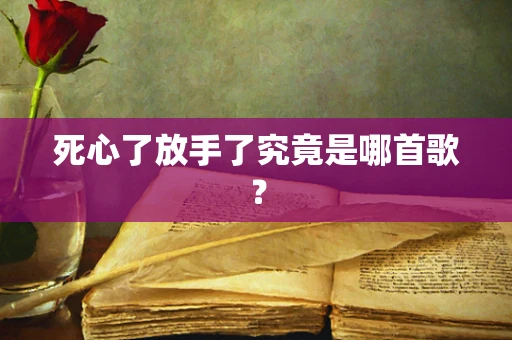 死心了放手了究竟是哪首歌？