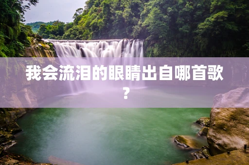 我会流泪的眼睛出自哪首歌？