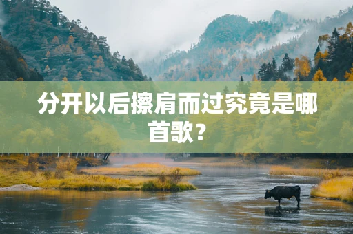 分开以后擦肩而过究竟是哪首歌？
