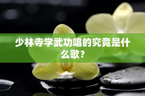 少林寺学武功唱的究竟是什么歌？