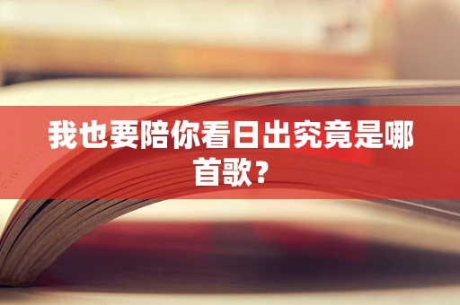 我也要陪你看日出究竟是哪首歌？