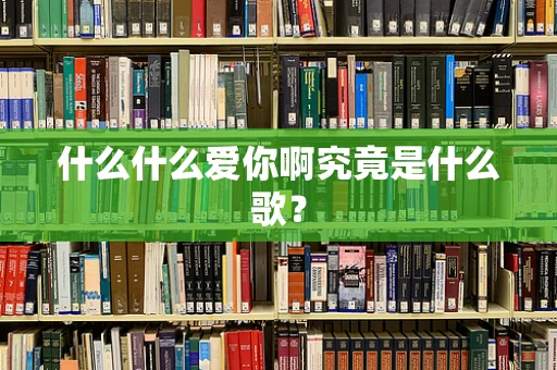 什么什么爱你啊究竟是什么歌？