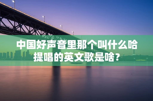 中国好声音里那个叫什么哈提唱的英文歌是啥？