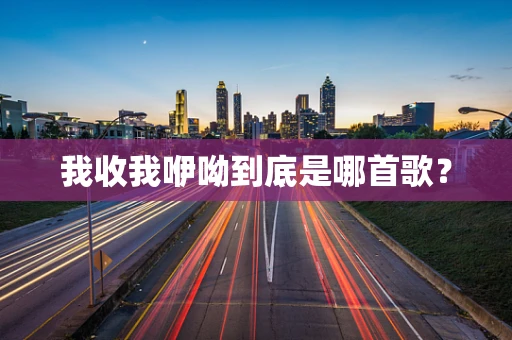 我收我咿呦到底是哪首歌？