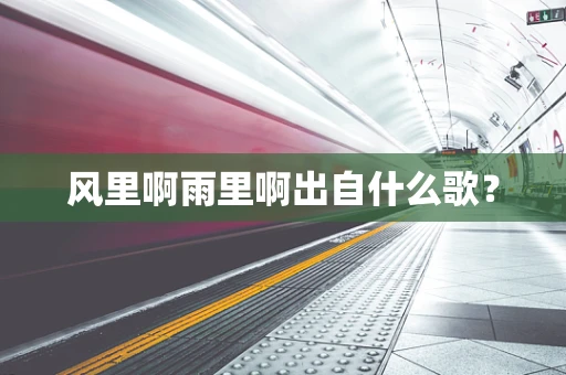 风里啊雨里啊出自什么歌？