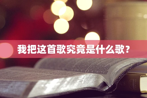 我把这首歌究竟是什么歌？