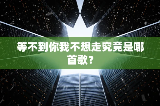 等不到你我不想走究竟是哪首歌？