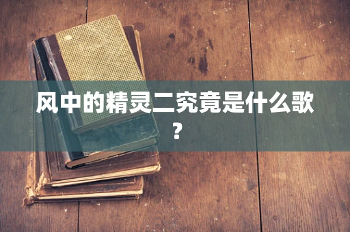 风中的精灵二究竟是什么歌？