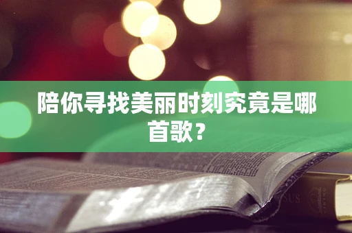 陪你寻找美丽时刻究竟是哪首歌？