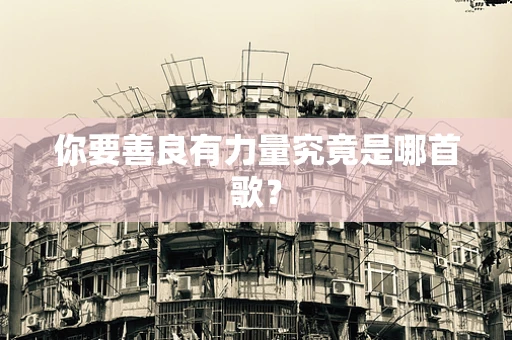 你要善良有力量究竟是哪首歌？