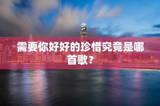 需要你好好的珍惜究竟是哪首歌？