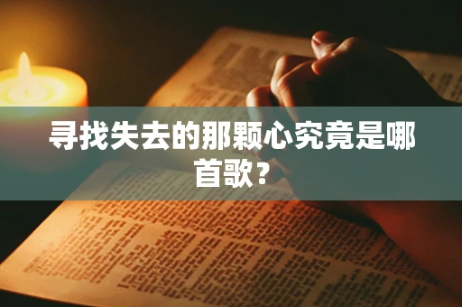 寻找失去的那颗心究竟是哪首歌？
