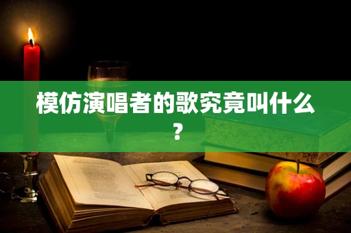 模仿演唱者的歌究竟叫什么？