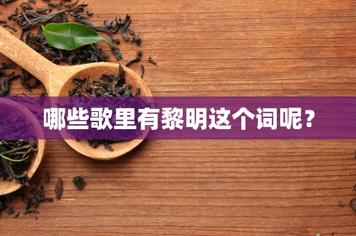哪些歌里有黎明这个词呢？
