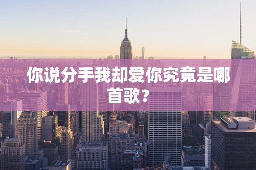 你说分手我却爱你究竟是哪首歌？