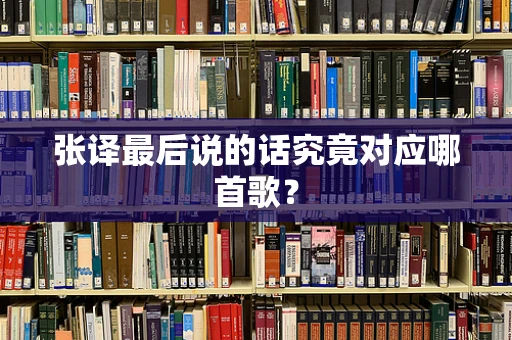 张译最后说的话究竟对应哪首歌？