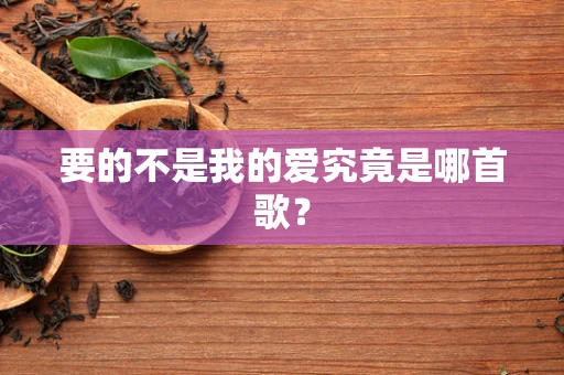 要的不是我的爱究竟是哪首歌？
