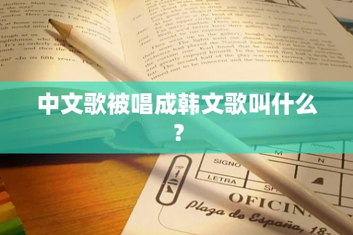 中文歌被唱成韩文歌叫什么？