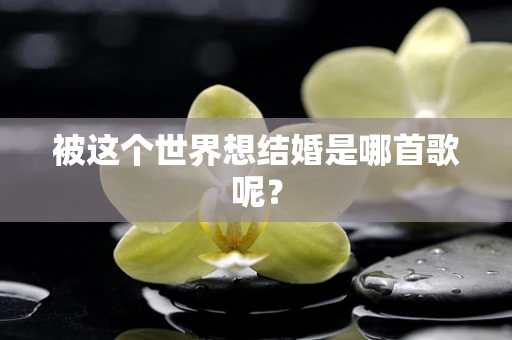 被这个世界想结婚是哪首歌呢？