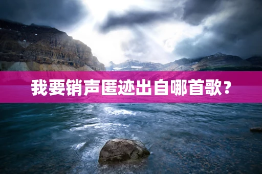 我要销声匿迹出自哪首歌？