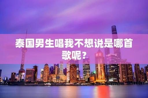 泰国男生唱我不想说是哪首歌呢？