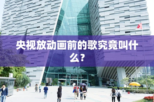 央视放动画前的歌究竟叫什么？