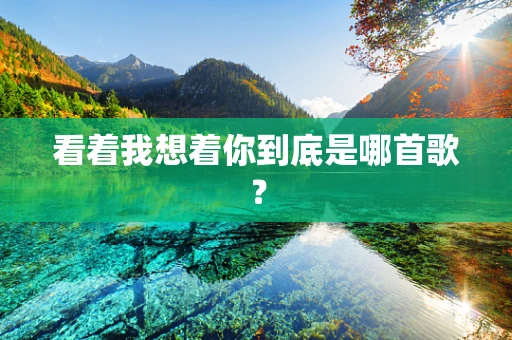 看着我想着你到底是哪首歌？