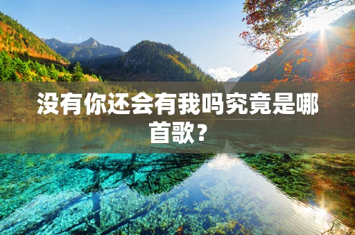 没有你还会有我吗究竟是哪首歌？