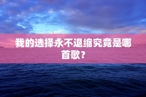 我的选择永不退缩究竟是哪首歌？