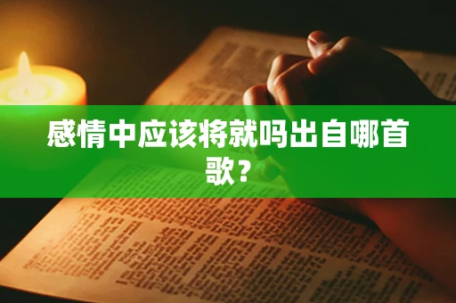 感情中应该将就吗出自哪首歌？