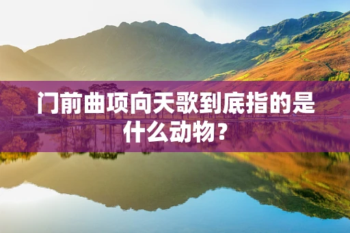 门前曲项向天歌到底指的是什么动物？