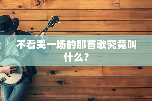 不看哭一场的那首歌究竟叫什么？