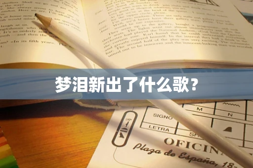 梦泪新出了什么歌？