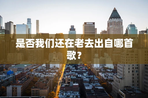 是否我们还在老去出自哪首歌？