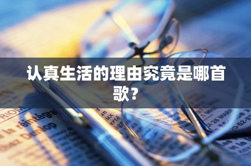 认真生活的理由究竟是哪首歌？
