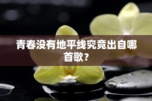 青春没有地平线究竟出自哪首歌？