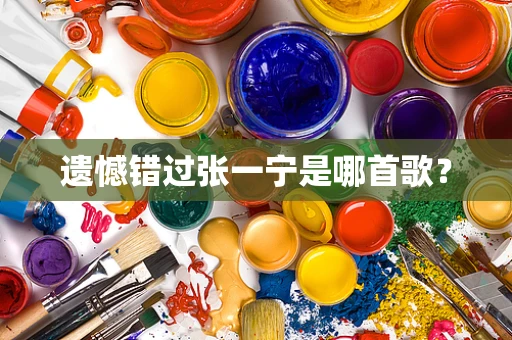 遗憾错过张一宁是哪首歌？