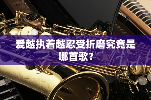 爱越执着越忍受折磨究竟是哪首歌？
