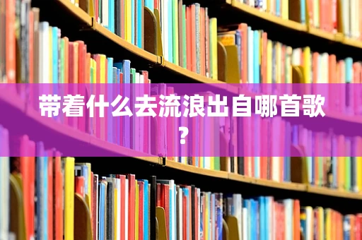 带着什么去流浪出自哪首歌？