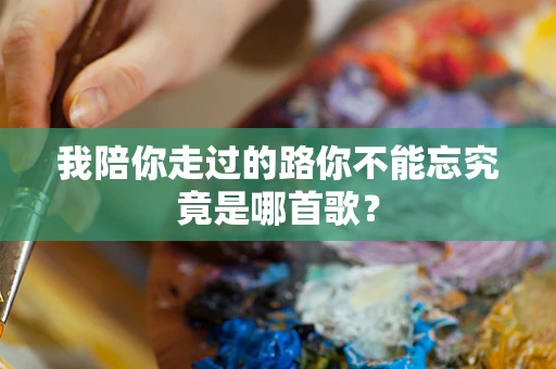 我陪你走过的路你不能忘究竟是哪首歌？