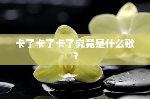 卡了卡了卡了究竟是什么歌？
