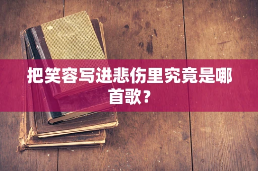 把笑容写进悲伤里究竟是哪首歌？