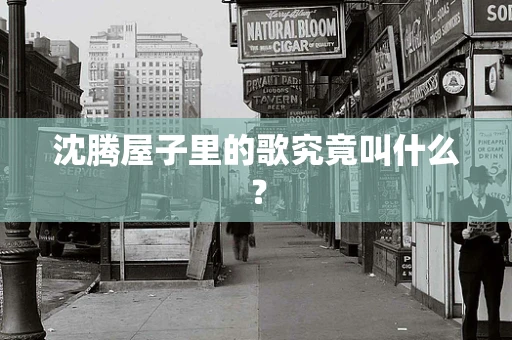沈腾屋子里的歌究竟叫什么？