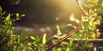 茗歌潇曲究竟是什么意思？